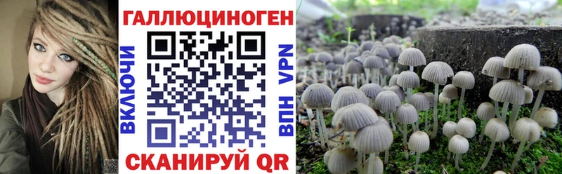shop клад купить закладку Певек Псилоцибиновые грибы Magic Shrooms